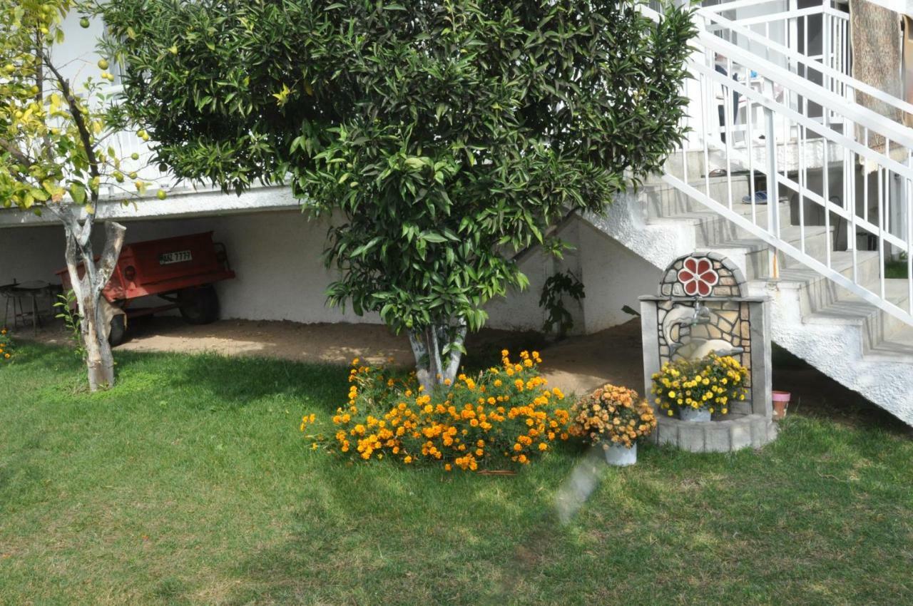 Despina Apartment Keramoti (Macedonia) Exterior foto